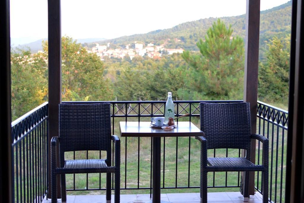 Hotel Prasino Horio Arnaía Pokoj fotografie